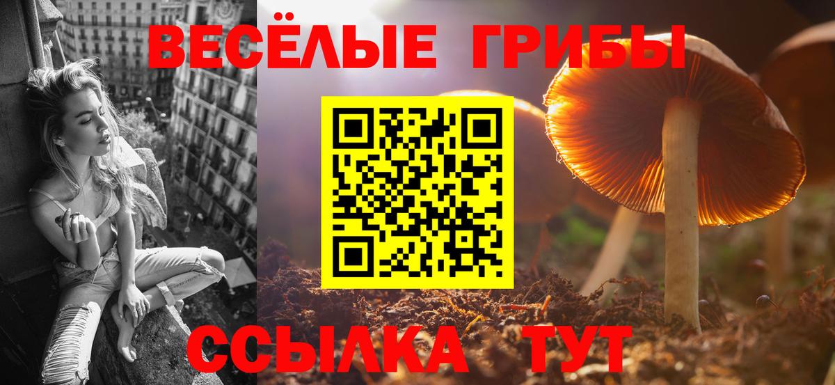 Дмитров  Псилоцибиновые грибы мицелий  Вход с VPN  Галлюциногенные грибы мицелий 